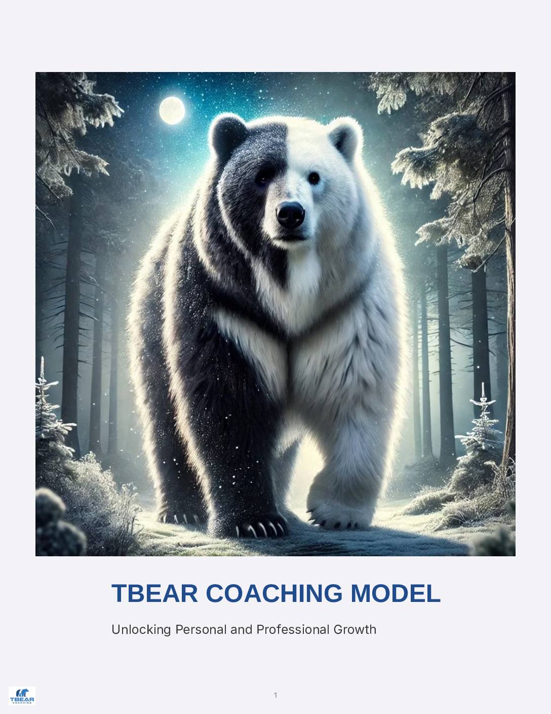 TBEAR Coaching Model Overview